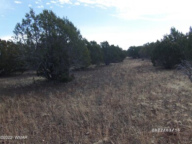buy-land-show-low-az