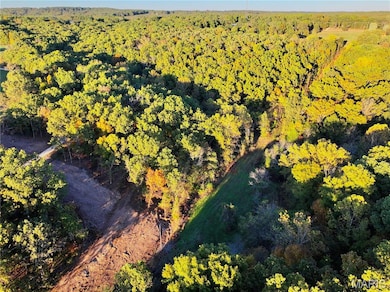 Aerial view of property's location featuring a heavily wooded area