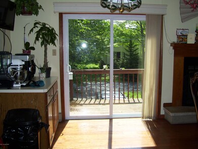 319 Sidney Ave, Pocono Summit