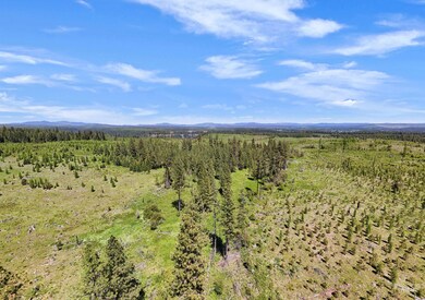 Mountain view featuring a forest