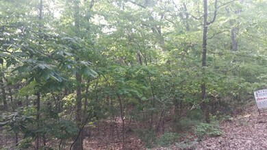 Lot 4 Hunters Glenn Ln, Ruth B Rural Township, MO 65686 - photo 6