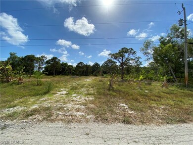 11871 Oscoda Ct, Pine Island Center, FL 33922 - photo 2