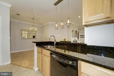 4551 Strutfield Ln unit 4304, Alexandria, VA 22311 - photo 6