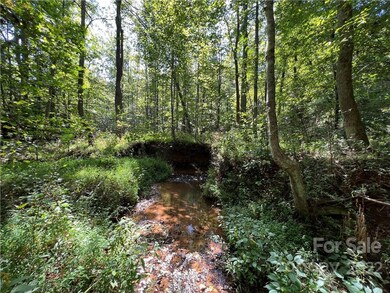 0 Cove Gap Rd unit CAR3913885, Statesville, NC 28625 - photo 7