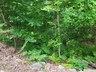 23 Parade Rd, Meredith, NH 03253 - photo 6