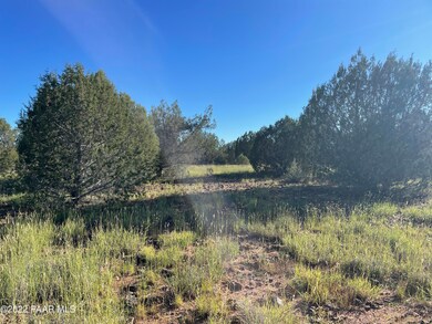 Lot 51a Juniperwood Ranch, Ash Fork, AZ 86046 - photo 6
