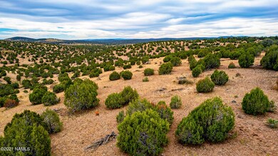 0 Lot 70 Westwood Ranch, Ash Fork, AZ 86320 - photo 6