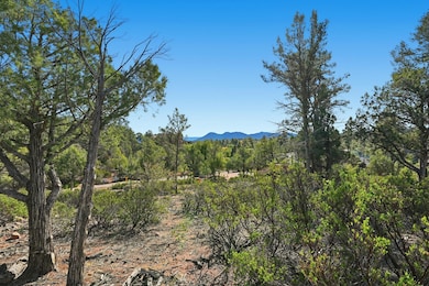 1300 N Karen Way, Payson, AZ 85541 - photo 4
