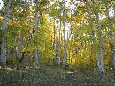 Fall Area Photo