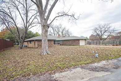 Pecan tree