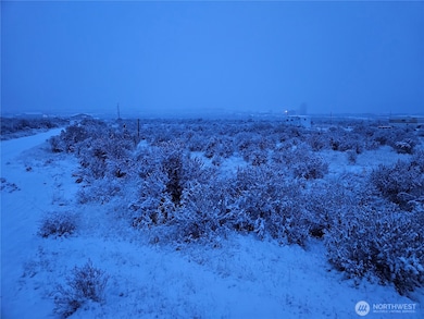 2676 Snaffle Dr, Ephrata, WA 98823 - photo 6