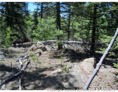 313 Kodiak Rd, Como, CO 80432 - photo 7