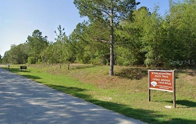 8059 N Creek Way, Citrus Springs, FL 34434 - photo 4