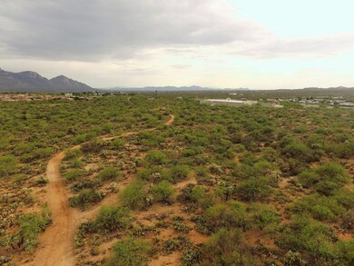 DJI_0075 (2) (1)