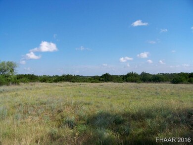 1001 Kellogg Rd, Copperas Cove, TX 76522 - photo 2