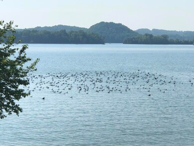 175 Lake Breeze Landing, Rutledge, TN 37861 - photo 3