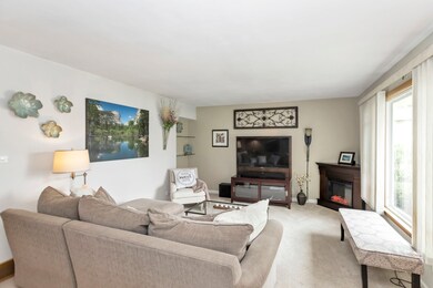 804 Balmoral Ct unit 1, East Dundee, IL 60118 - photo 3