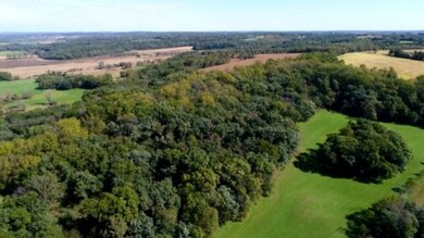 29 AC Legler Rd, Brooklyn, WI 53521 - photo 6