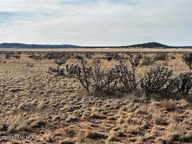 1270-B Along Way, Seligman, AZ 86337 - photo 4