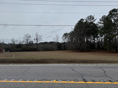 2491 Wedgefield Rd, Sumter, SC 29154 - photo 2