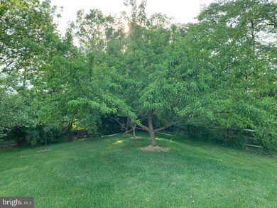 4212 Ferguson Dr, Doylestown, PA 18902 - photo 6