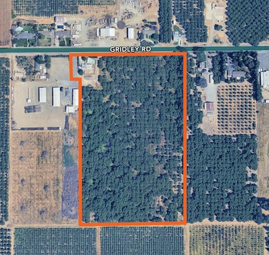 442 E Gridley Rd, Gridley, CA 95948 - photo 2