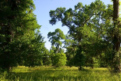 This huge tract offers a variety of landscapes and