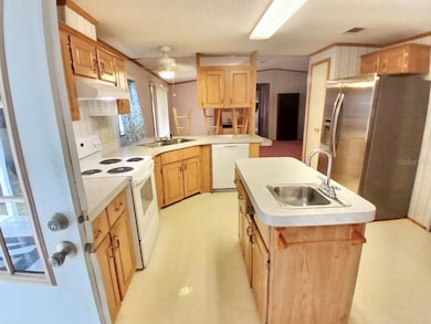 4304 Oak View Ave, Kissimmee, FL 34746 - photo 5