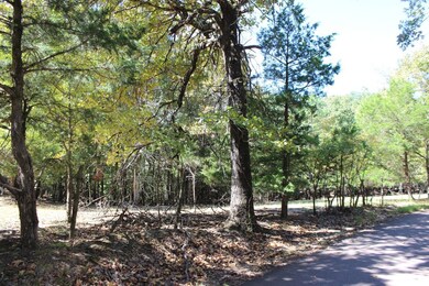 48 County Road 329, Oxford, MS 38655 - photo 3