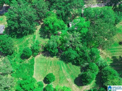 1153 Lake Dr SE, Bessemer, AL 35022 - photo 6