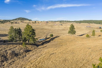 Lots 6 & 7 Mineral Ln unit TBD Mineral Lane, Hill City, SD 57747 - photo 4