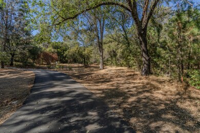18871 Ponderosa Annex Rd, Sutter Creek, CA 95685 - photo 4