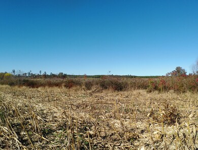 Tbd Concord Church Rd, Ellerbe, NC 28338 - photo 5