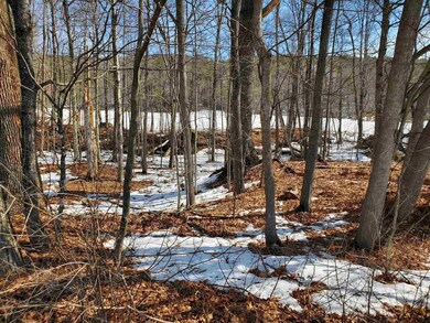 22 Rudsboro Rd unit 44, Lebanon, NH 03766 - photo 5