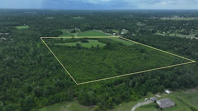 3130 Hwy 71 unit LotWP001, Marianna, FL 32446 - photo 3