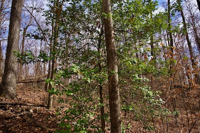 323A White Oak Flatt Rd, Sparta, TN 38583 - photo 5