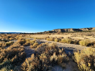 0 Banco Rd, La Jara, NM 87027 - photo 4