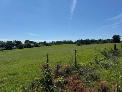 IMG_0299