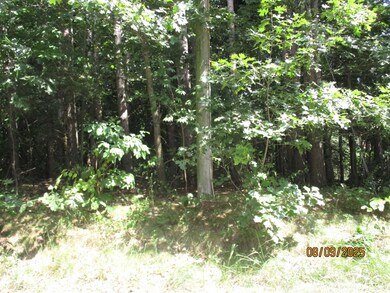 51772 Currant Rd, Granger, IN 46530 - photo 7