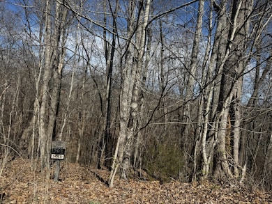 0 Dakota Ln unit RTC3058040, Smithville, TN 37166 - photo 4