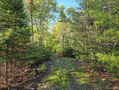M2 L9-1 Solon Rd, Brighton Plantation, ME 04942 - photo 4