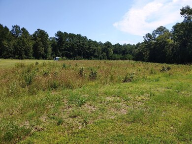 000 Oak Hampton Rd, Fleming, GA 31309 - photo 3