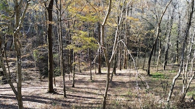 16 Lake View, Smithville, TN 37166 - photo 6