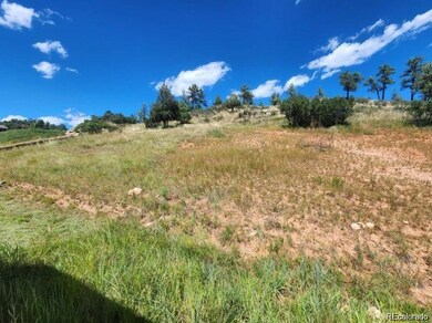 4251 Mohawk Dr, Larkspur, CO 80118 - photo 6