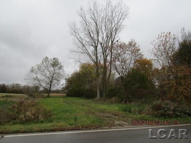 13002 Bartlett Rd, Clinton, MI 49236 - photo 2
