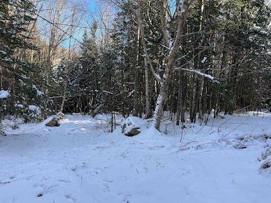 0 Shadow Lake Rd unit 5070680, Glover, VT 05839 - photo 4