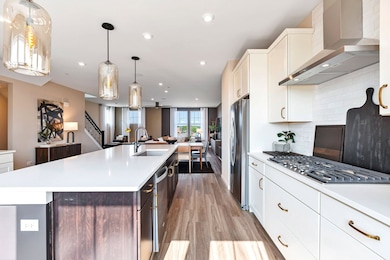 251 Mary Dr unit 14663, Schaumburg, IL 60193 - photo 6