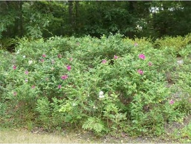 1 Boat House Dr, Wareham, MA 02571 - photo 6