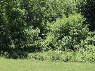 1615 Creek Side Ct, Wayland, MI 49348 - photo 6