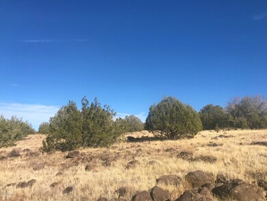 21 N Un Named Rd, Ash Fork, AZ 86320 - photo 5